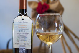 Vini da bere tutti i giorni