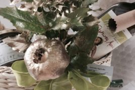 Prenota la tua confezione regalo!